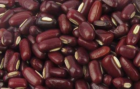 吃赤小豆能减肥吗 吃赤小豆能减肥吗会反弹吗