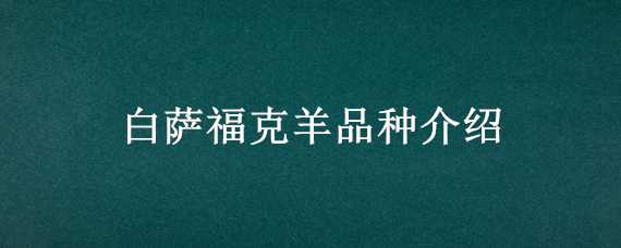 白萨福克羊品种介绍 萨福克羊和澳洲白羊哪个品种好