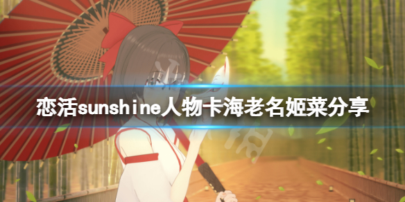 恋活sunshine人物卡海老名姬菜分享