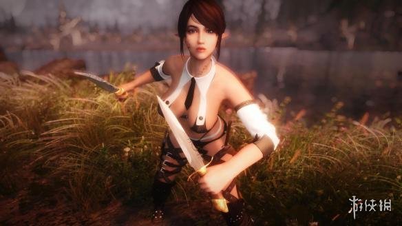 上古卷轴5实用MOD推荐+下载地址分享 什么MOD好玩 前言