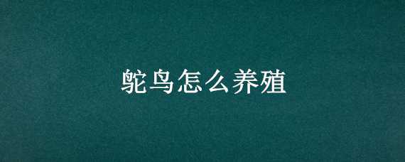 鸵鸟怎么养殖（鸵鸟怎么养殖视频）