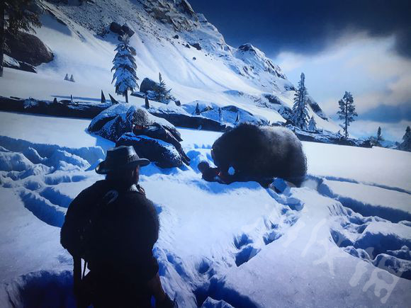 荒野大镖客2雪山随机事件获得完美熊皮 完美熊皮获取攻略