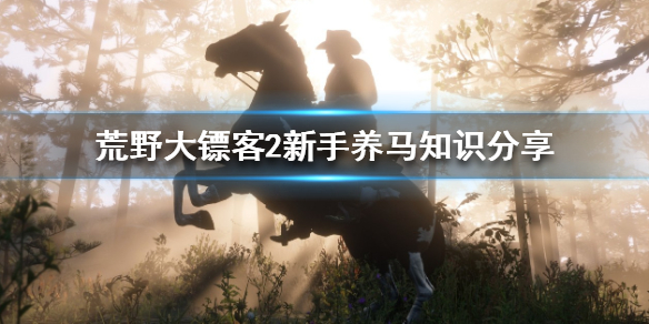 荒野大镖客2新手怎么养马 新手养马知识分享