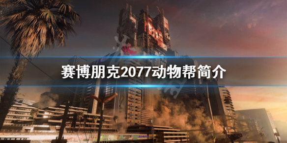 赛博朋克2077动物帮是做什么的（赛博朋克2077有宠物么）