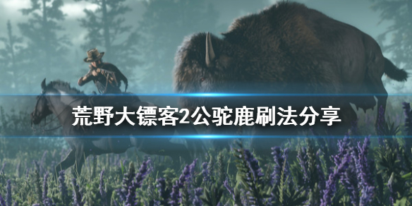 荒野大镖客2公驼鹿怎么刷（荒野大镖客2公驼鹿哪刷）