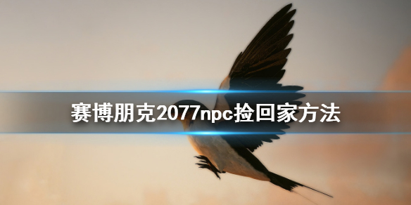 赛博朋克2077NPC怎么捡 赛博朋克2077一键拾取