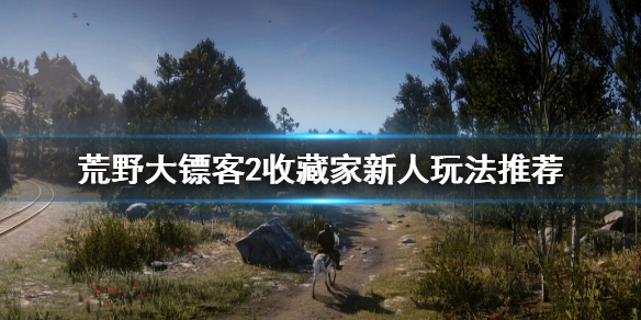 荒野大镖客2收藏家怎么上手（荒野大镖客2收藏家新手）