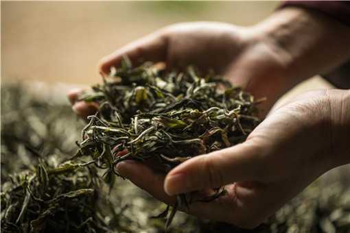 茶叶种植前景如何 茶叶种植前景如何发展