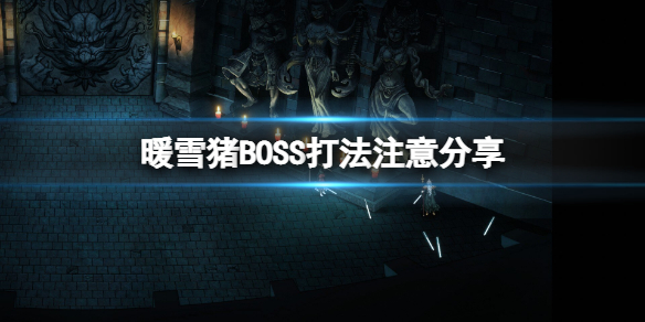 暖雪猪BOSS有什么要注意的 猪BOSS打法注意分享