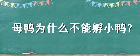 母鸭为什么不能孵小鸭（为什么有公鸭才能孵小鸭）