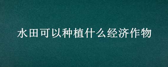 水田可以种植什么经济作物（水田可以种植什么经济作物好）