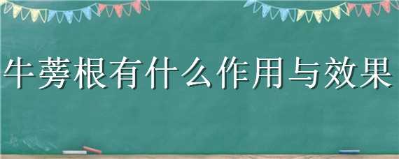 牛蒡根有什么作用与效果 牛蒡根有些什么作用