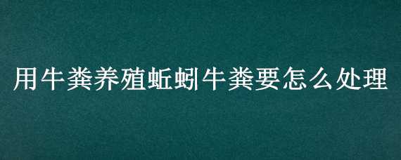 用牛粪养殖蚯蚓牛粪要怎么处理