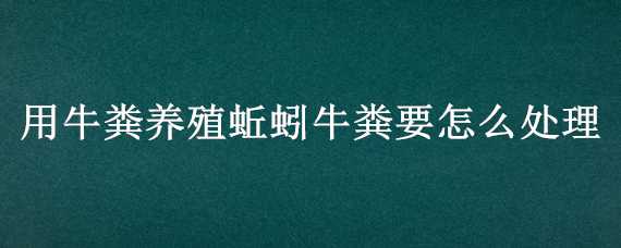 用牛粪养殖蚯蚓牛粪要怎么处理（用牛粪养殖蚯蚓牛粪要怎么处理好）