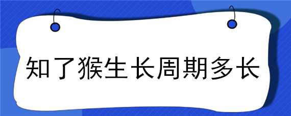 知了猴生长周期多长 知了猴的生命周期