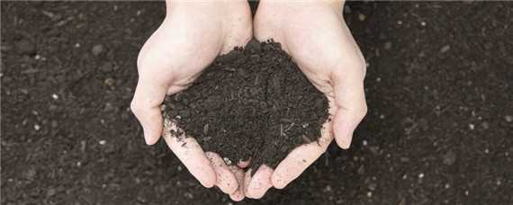 土壤含水率一般是多少 土壤含水率大概是多少