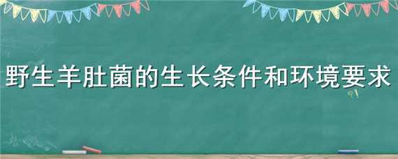 野生羊肚菌的生长条件和环境要求