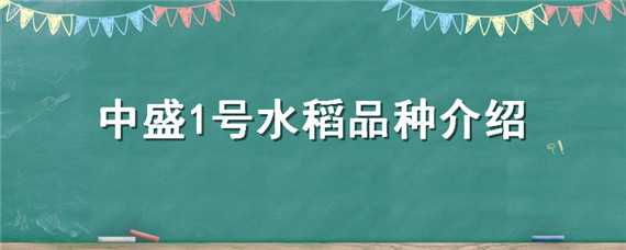 中盛1号水稻品种介绍