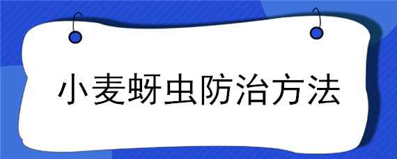 小麦蚜虫防治方法 小麦蚜虫防治方法及时间