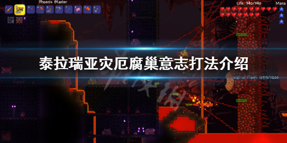 泰拉瑞亚灾厄腐巢意志怎么打 泰拉瑞亚灾厄腐巢意志打法介绍