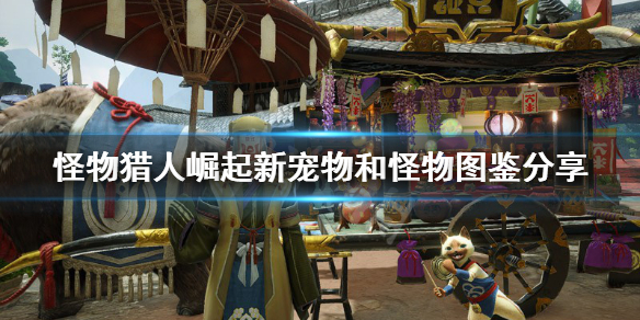 怪物猎人崛起宠物福木兔怎么样（怪物猎人崛起 福木兔有什么用）