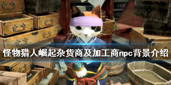 怪物猎人崛起杂货商及加工商npc背景介绍 加工商什么身份