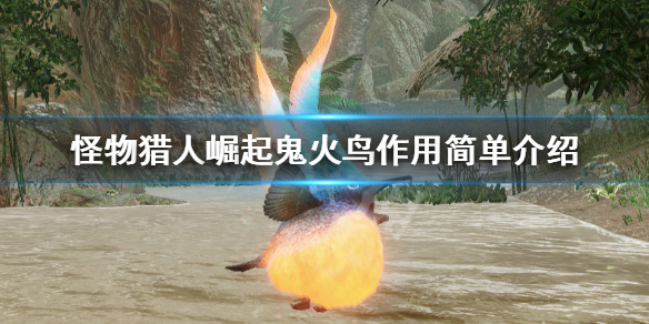 怪物猎人崛起鬼火鸟有什么用（怪物猎人崛起鬼火缠怎么触发）