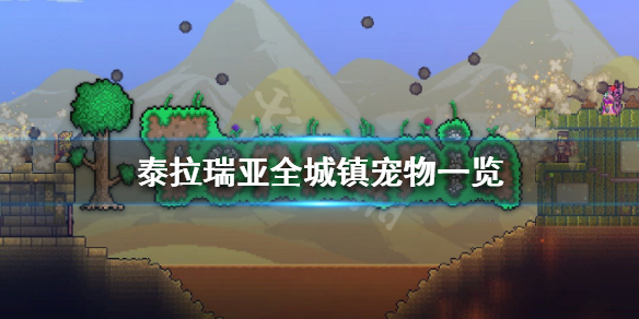 泰拉瑞亚城镇宠物有几种 泰拉瑞亚全城镇宠物一览