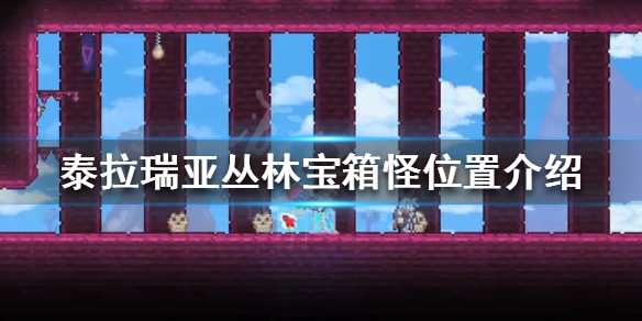 泰拉瑞亚丛林宝箱怪在哪 泰拉瑞亚丛林宝箱怪位置介绍