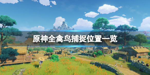 原神禽鸟在哪抓 原神全禽鸟捕捉位置一览