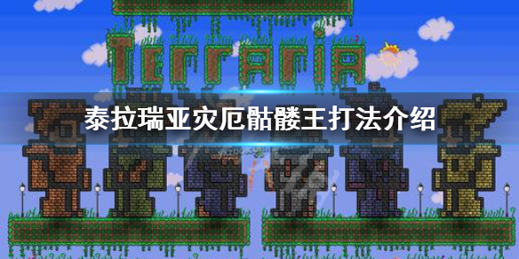 泰拉瑞亚灾厄骷髅王怎么打 泰拉瑞亚灾厄骷髅王打法介绍