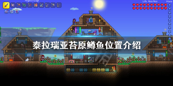 泰拉瑞亚苔原鳟鱼在哪 泰拉瑞亚苔原鳟鱼位置介绍