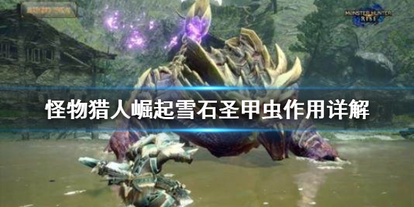 怪物猎人崛起雪石圣甲虫有什么用 雪石圣甲虫作用详解