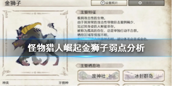 怪物猎人崛起金狮子好打吗 怪物猎人崛起金狮子弱点分析
