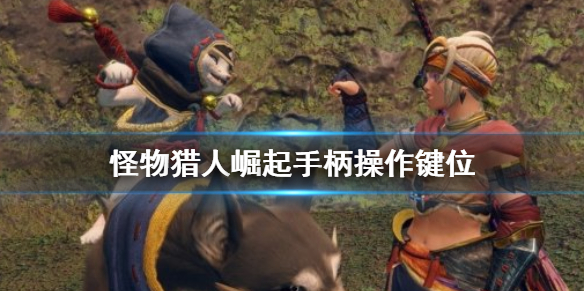 怪物猎人崛起手柄怎么操作（怪物猎人崛起手柄怎么操作按键）