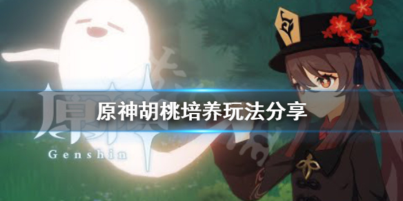 原神胡桃怎么培养 原神胡桃培养玩法分享