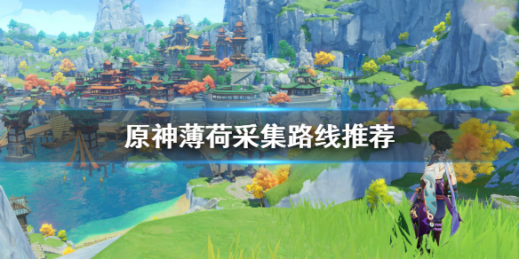 原神薄荷在哪采 原神薄荷采集路线推荐
