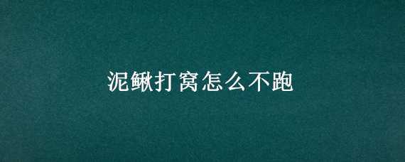 泥鳅打窝怎么不跑（泥鳅打窝泥鳅不跑吗）