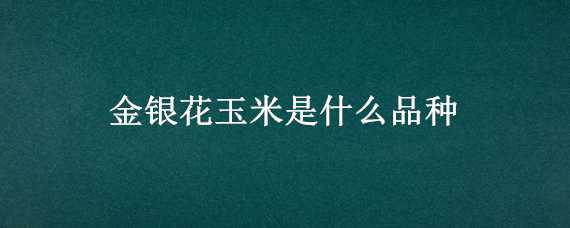 金银花玉米是什么品种（金银玉米百科）