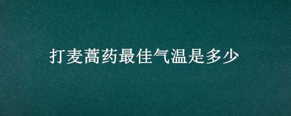 打麦蒿药最佳气温是多少 麦蒿药什么温度打最佳