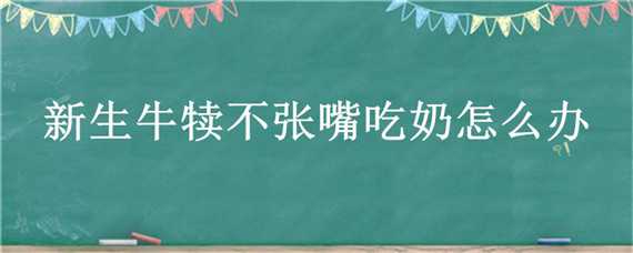 新生牛犊不张嘴吃奶怎么办（新生牛犊不张嘴吃奶怎么办视频）