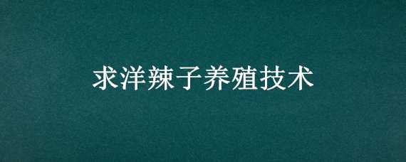 求洋辣子养殖技术 洋辣子人工养殖视频