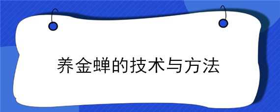 养金蝉的技术与方法 养金蝉的技术与方法图解