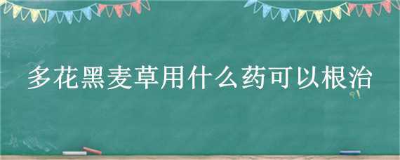 多花黑麦草用什么药可以根治（防除多花黑麦草）