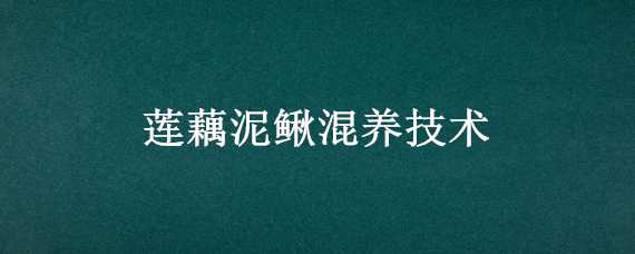 莲藕泥鳅混养技术（藕和泥鳅能混养吗）