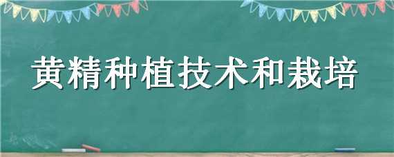 黄精种植技术和栽培（黄精种植技术和栽培气缸头痛）