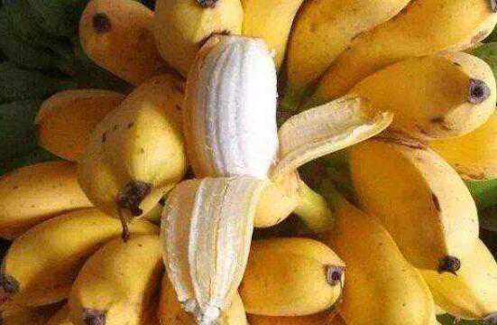 米蕉的功效与禁忌有哪些 米蕉的功效和作用禁忌