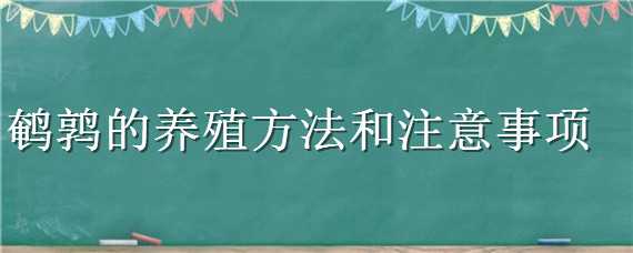 鹌鹑的养殖方法和注意事项 鹌鹑的养殖技术及方法