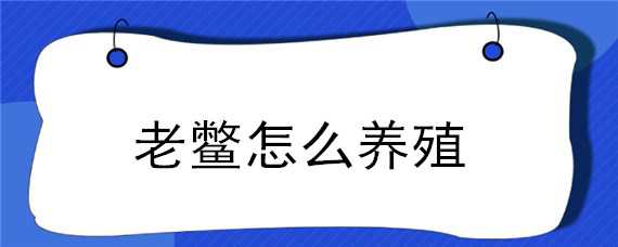 老鳖怎么养殖 老鳖的养殖方法