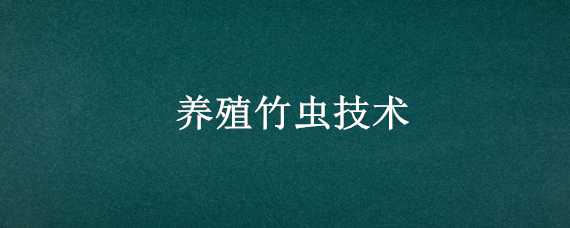 养殖竹虫技术 养殖竹虫技术培训